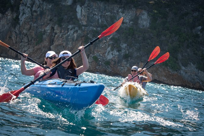 Sea Kayaking in Navarino Bay - Key Highlights to Know Before You Go