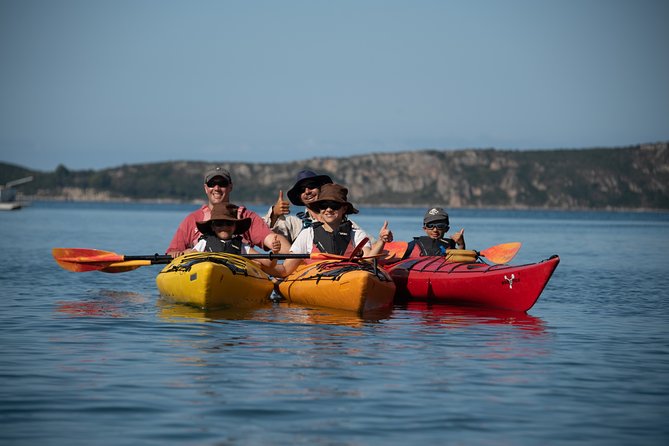 Sea Kayaking in Navarino Bay - Secluded Beach Time: Snorkeling, Swimming, and Picnic With Homemade Olive Oil