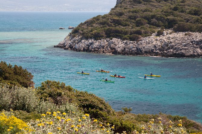 Sea Kayaking in Navarino Bay - Who This Tour Fits Best, and Who Might Want to Skip
