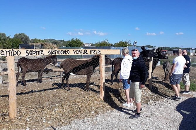 Self drive 4x4 Jeep Safari - Pick ups in the North - The forest tavern, optional moussaka lunch, and Saint Soula’s healing spring