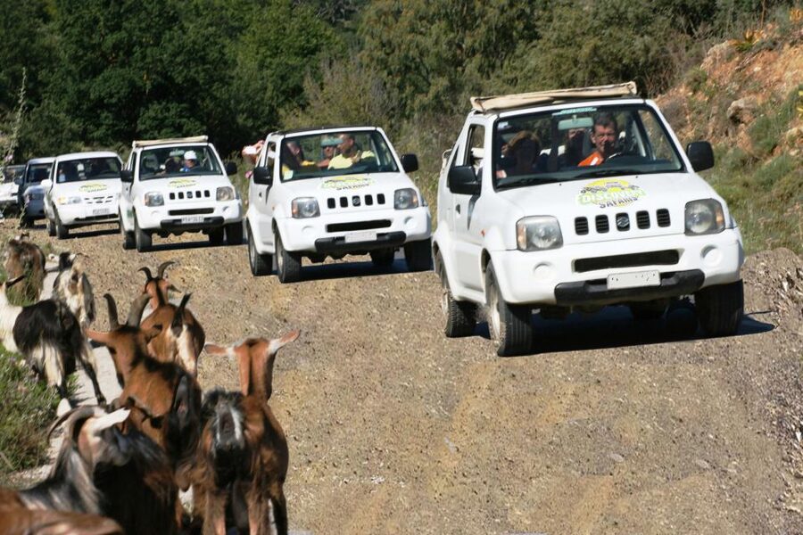 Self-Drive Jeep Safari to South Coast, Palm Beach & Canyons - Ligres Beach swim stop at the South Coast