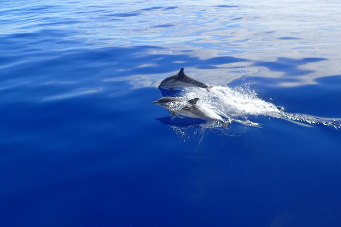 Semi-private Antiparos & Caves Blue Lagoon OR Rina Cave & Small Cyclades - Key highlights worth knowing before you go