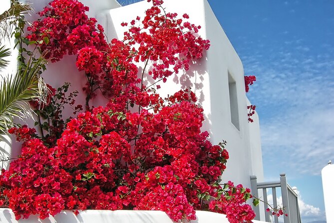 Sightseeing like a Mykonian(Small Group or Private) - Ano Mera: swapping crowds for village streets