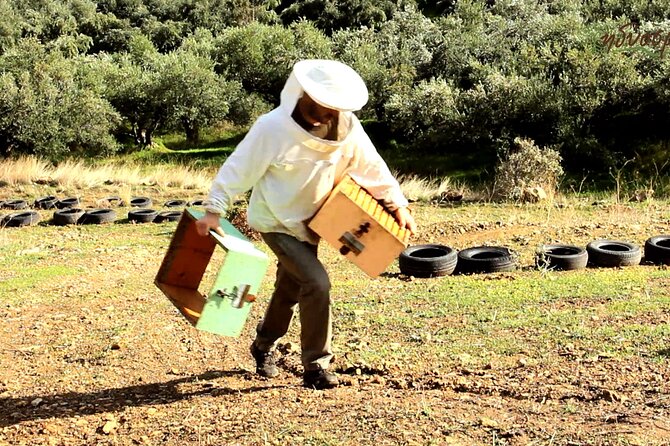 Small-Group Honey & Extra Virgin Olive Oil Tasting Tour in Crete - Key things that make this honey and olive oil tour special