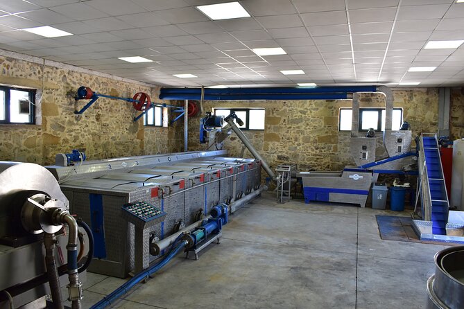 Small-Group Honey & Extra Virgin Olive Oil Tasting Tour in Crete - Olive oil extraction on site, plus a cold-pressed focus