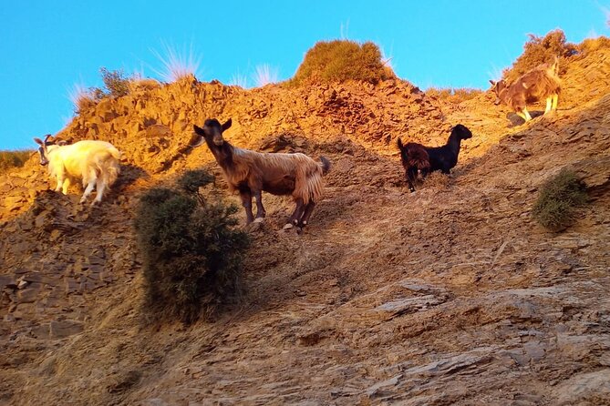 Sunset Jeep Tour in Crete - Stop 5: Karfi sunset hour, prosecco, fruits, and real photo time