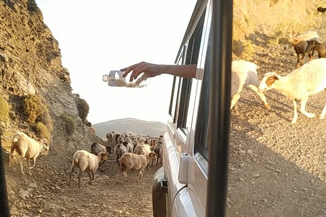 Sunset Jeep Tour in Crete - Dinner at Ano Kera: BBQ, wine, and a finish that feels like an event
