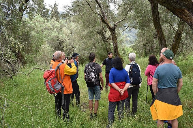 The Governor's Olive Mill Tour with Olive Oil Tasting - How the tasting workshop actually teaches quality