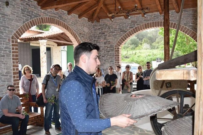 The Governor's Olive Mill Tour with Olive Oil Tasting - Price and logistics: is $82.23 worth it