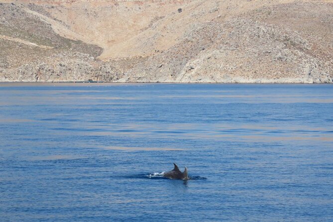 The Santa Maria 3 Island Cruise in the Aegean w/ Free Audio Guide - Free smartphone audio guide, in several languages