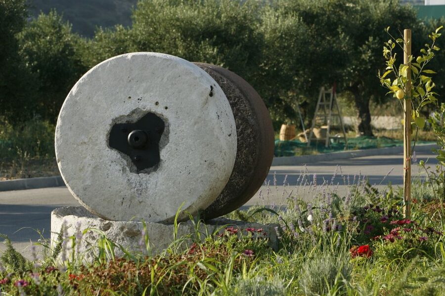The Terra Creta Olive Oil Experience Tour - Inside the Terra Creta mill, from olives to bottled oil