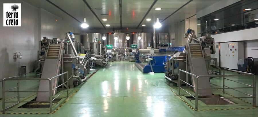 The Terra Creta Olive Oil Experience Tour - The tasting session: 3 olive oils and real tasting guidance