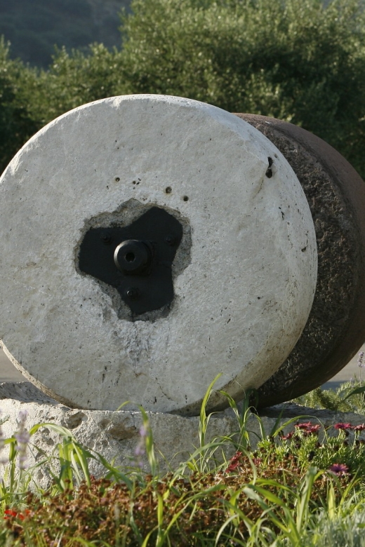 The Terra Creta Olive Oil Experience Tour - Price and value: is $11 a fair deal?