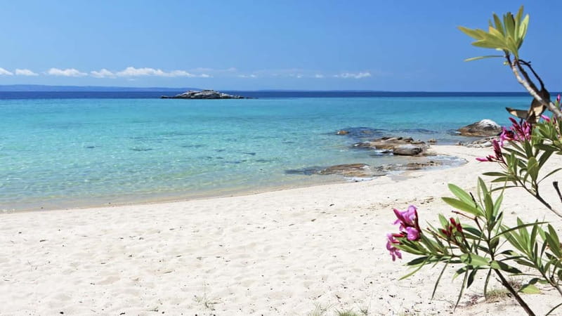 Thessaloniki: Halkidiki/Sithonia Swim, Sunset & Olive Tour - What to Bring for an Easy 8 Hours on Sithonia