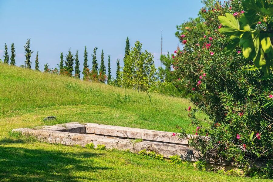 Thessaloniki: Vergina and Pella Day Trip - Price and tickets: the math you should do before you go