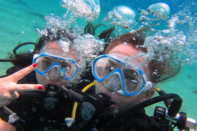 Try a DIVE, discover scuba diving in Mykonos - Key highlights you will feel fast