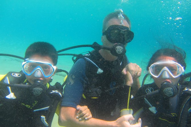 Try a DIVE, discover scuba diving in Mykonos - Free underwater photos and the little value boosters