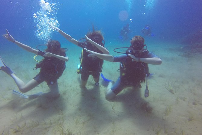 Try a DIVE, discover scuba diving in Mykonos - Price: what you pay for, and why it can be good value