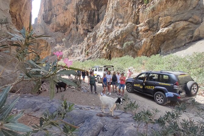 Trypiti beach and gorge Jeep Safari - Agisilaos-Stella Taverna Cretan BBQ Lunch in the Olive Forest