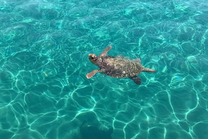 Turtle Spotting Cruise in Zakynthos - Boat life on board: commentary, captain control, and what you can buy