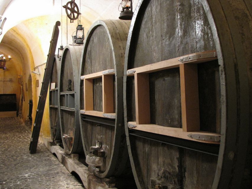 Vothonas: Wine Museum Ticket with Tastings and Audio Guide - Meet the hosts: professional, friendly, and usually happy to talk