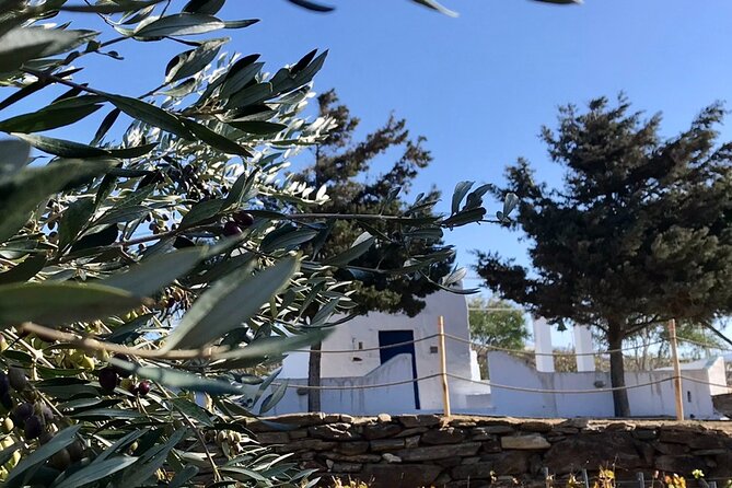 Wine Tasting and Tour in Saint Anna Winery in Naxos - Beyond the tasting room: herbs, a chapel, and a countryside stroll