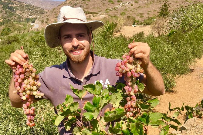 Wine Tasting and Tour in Saint Anna Winery in Naxos - Transport, timing, and what to plan for in Naxos