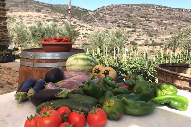 Wine Tasting and Tour in Saint Anna Winery in Naxos - Price and value: is 72.59 USD worth it?
