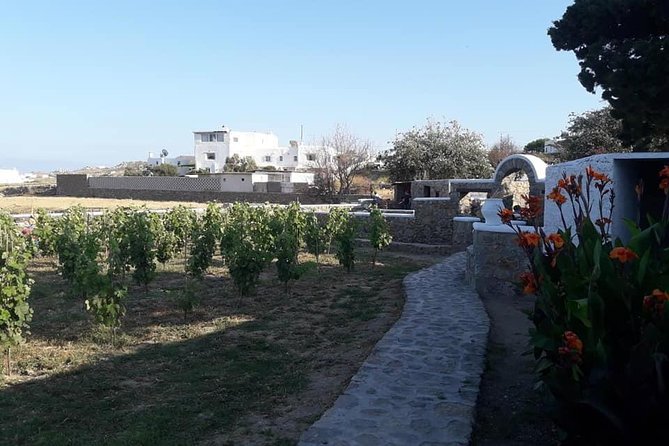 Wine Tasting Tour at a traditional farm in Mykonos - Snacks and Local Bites: Cheese, Bread, and the Stuff That Makes Wine Stick