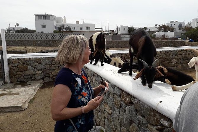 Wine Tasting Tour at a traditional farm in Mykonos - Midday vs Evening: Which Time Slot Fits Your Mykonos Plan