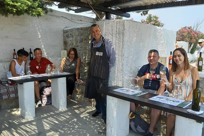 Wine Tasting Tour at a traditional farm in Mykonos - Group Size and The Host Dynamic