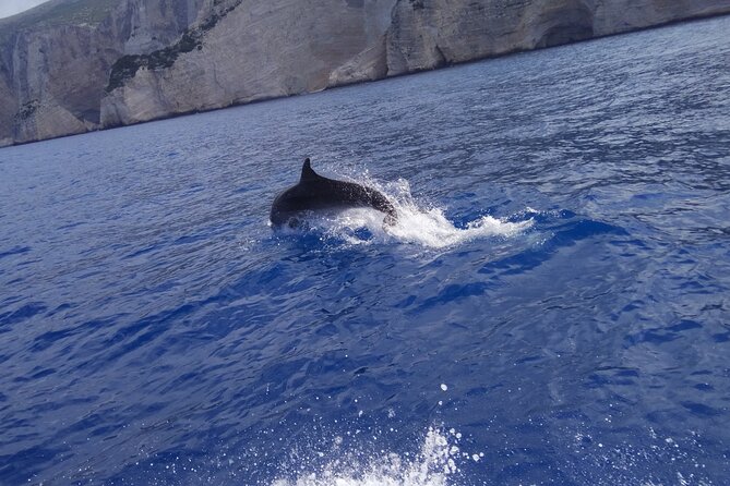 Zakynthos All Day Tour Shipwreck beach, view point-Blue Caves - The day’s pacing: viewpoints, beaches, then the water stops