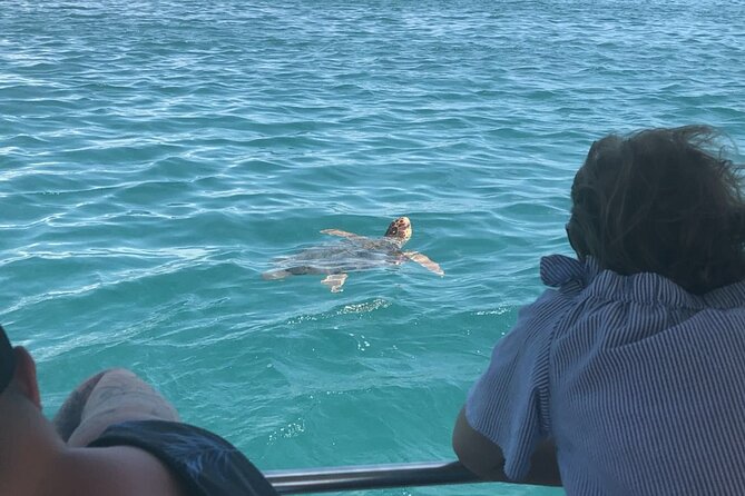 Zakynthos Half Day Tour to the Turtle Island, Cameo & Keri Caves - National Marine Park turtle spotting by glass-bottom boat