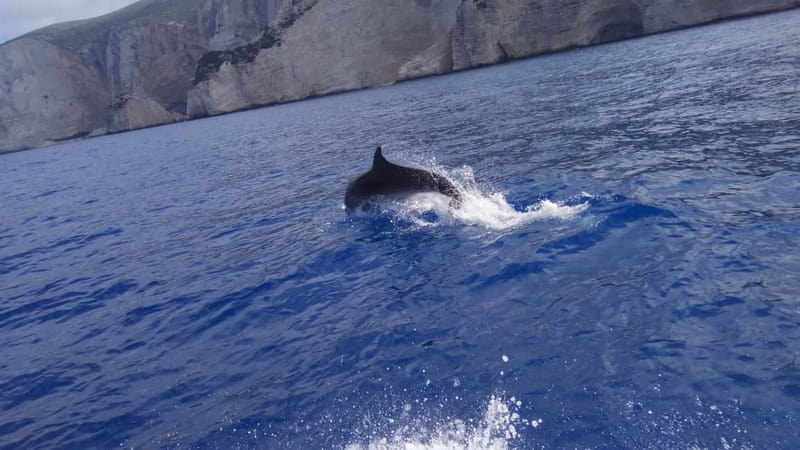 Zakynthos: Shipwreck Beach, Viewpoint, Blue Caves Day Tour - Xigia sulfur beach: the natural spa stop for photos and optional swim