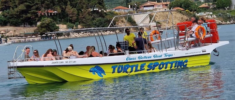 Zakynthos: Turtle Island, Cameo and Keri Caves + Transport - Marathonisi Turtle Island: The Real Reason You Came