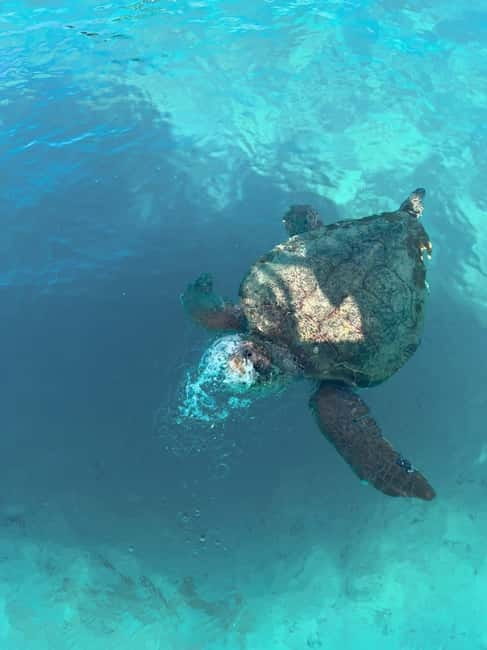 Zakynthos: Turtles, Marathonisi & Keri Caves Speedboat Tour - From Pickup to Agios Sostis Harbor: Where the Day Starts