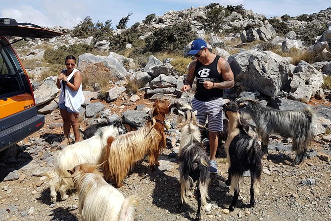 Zeus Cave, Lassithi Plateau, Olive Oil Factory, Kritza, Pottery - Lunch in Crete: what included food is actually like on this trip